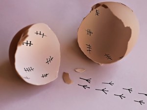 the-chick-is-finally-free