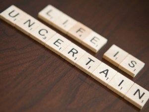 17562844299_0d84693952_b